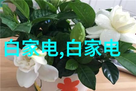 天津石油职业技术学院燃烧梦想的火炬传人