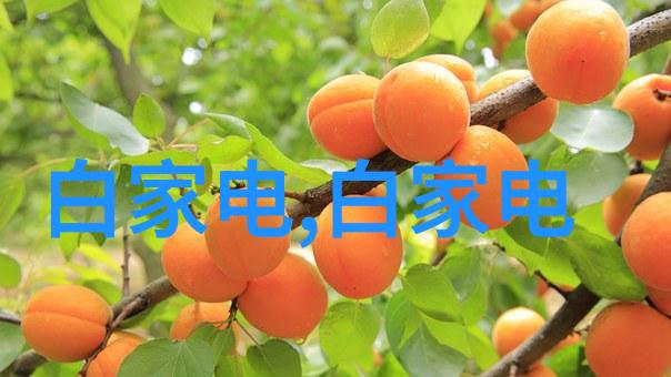 陕西智慧网专业技术人员的继续教育通道