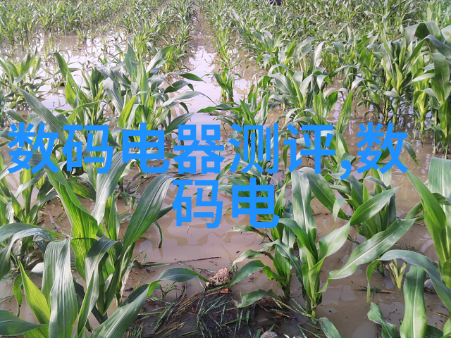 物料输送设备概述与应用