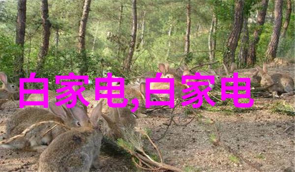 不锈钢管退火炉技术与应用概述从生产工艺到质量控制
