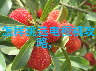 电子元器件零部件的发展历程