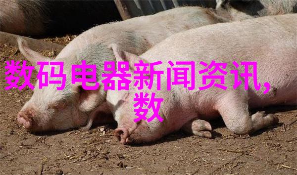 智能装备技术未来生活的伴侣与助手