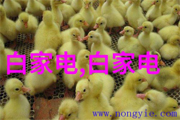 大型化学反应釜 - 巨量混合器探索大型化学反应釜的奇妙世界