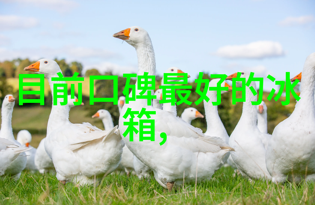 电子垃圾的新命运废旧设备处理网的崛起
