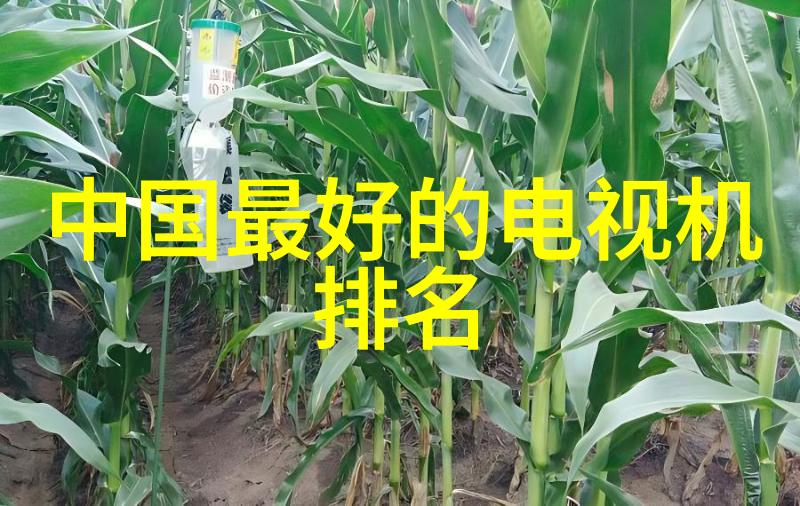 砂纸的秘密如何让木材光滑如镜