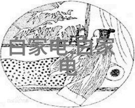 太阳能助跑华为Watch 4引擎高效备战马拉松的智慧之选