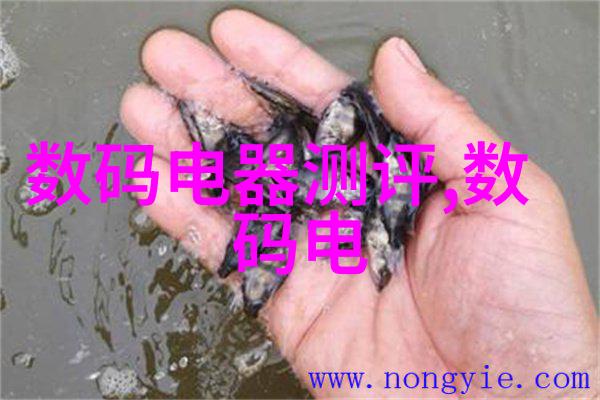 环保节能液晶显示器绿色办公室的利器