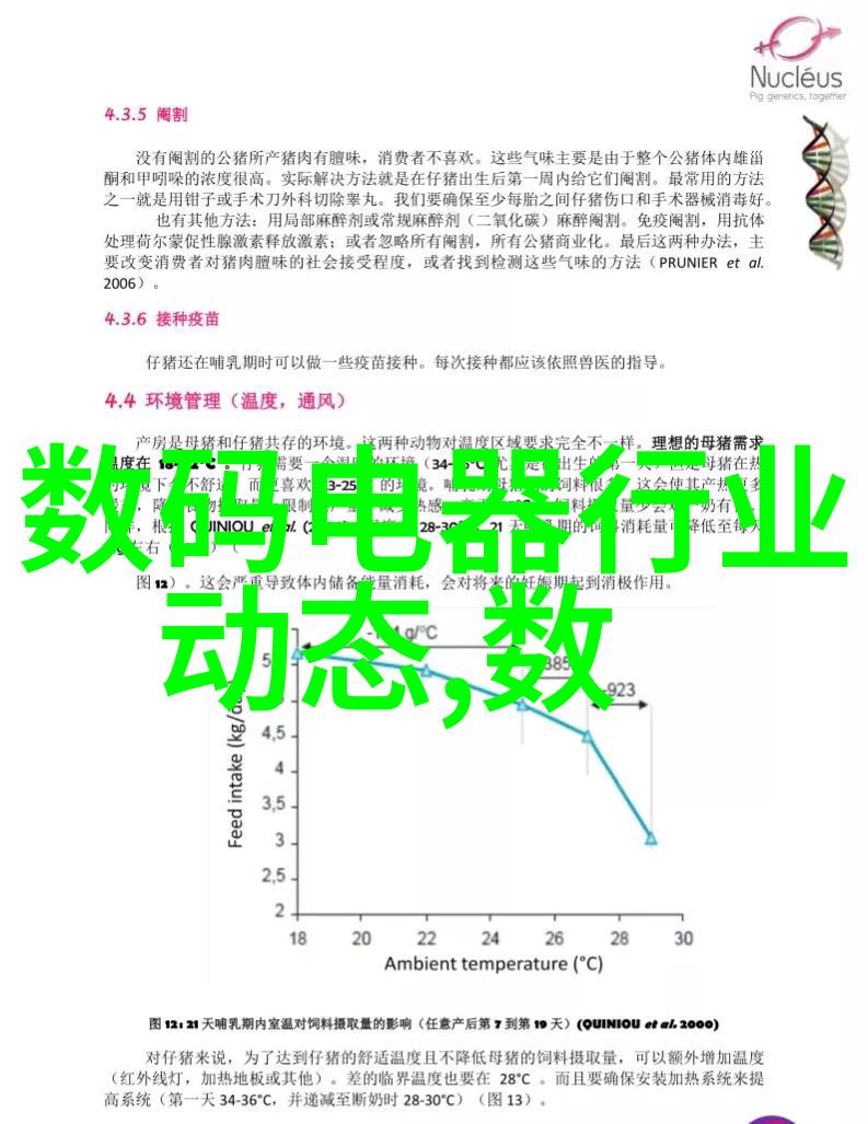 我的法国空姐故事飞行中的浪漫与挑战