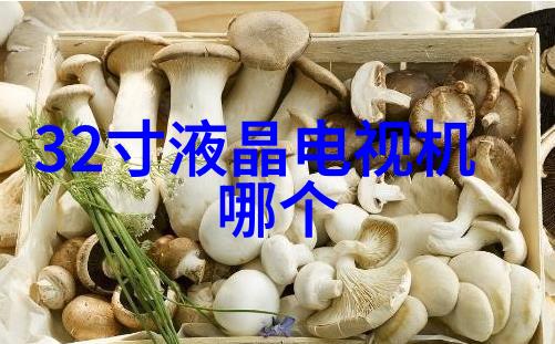 从冰到热探索冰柜图片中的温度变化有何意义