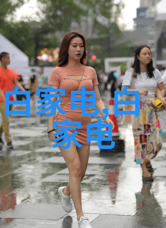 bx500填料参数如何自己调整这台相机的设置让照片更加出色