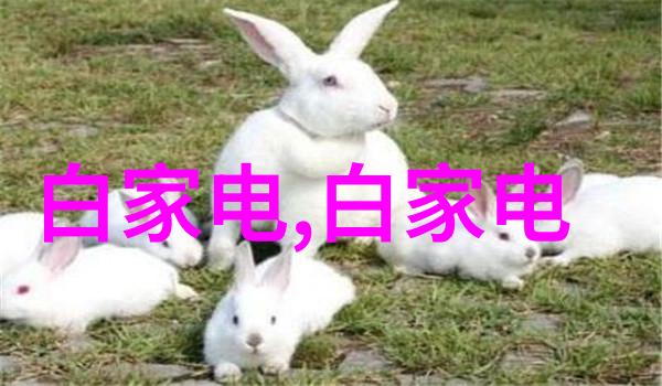 油水分离器使用方法-如何正确操作油水分离器确保设备运行效率与环境保护