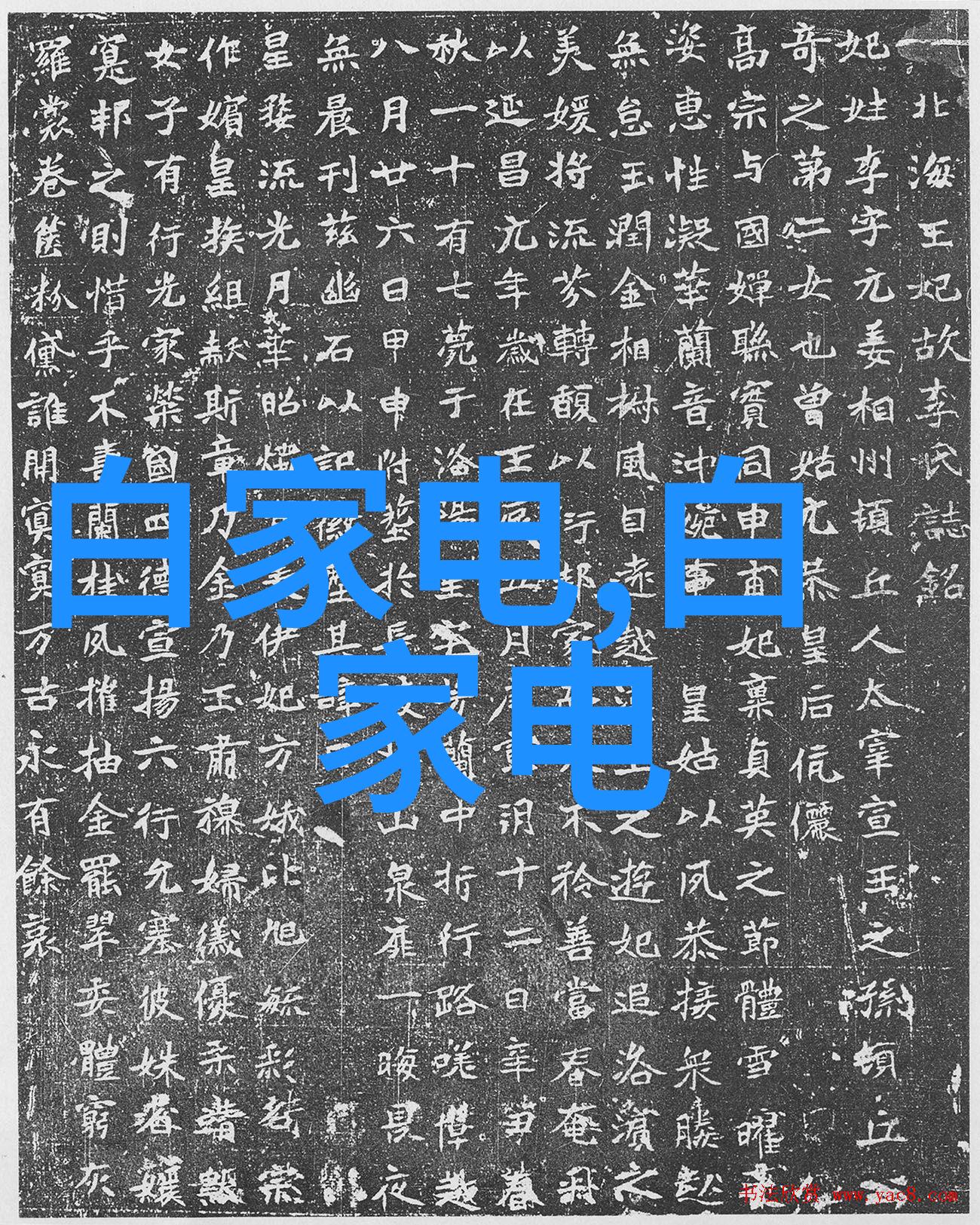 世纪华联连接未来携手共创