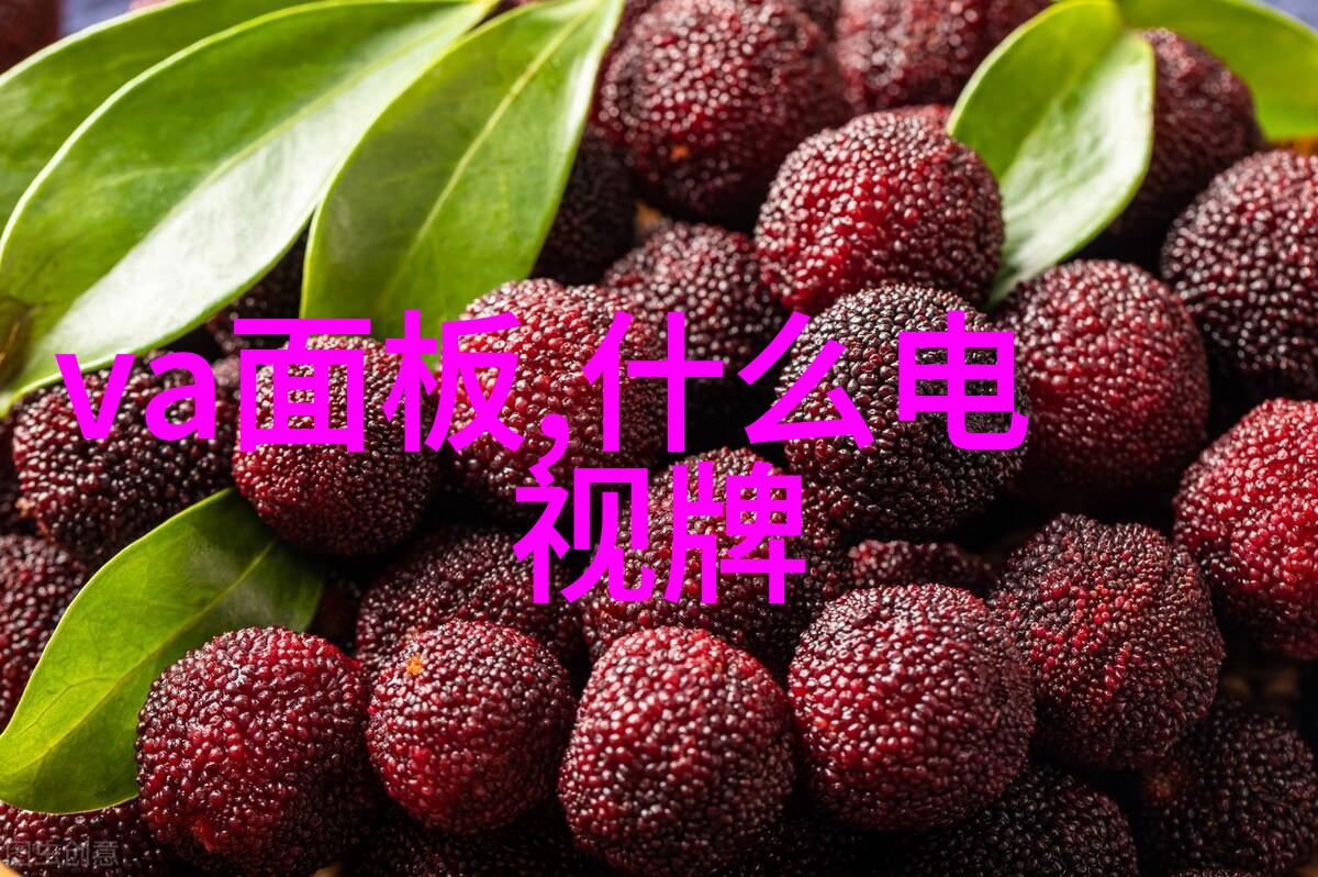 九阳小家电-探索九阳全品种从厨房到清洁的智能助手