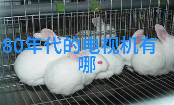 从零到英雄客厅装修设计效果图解析