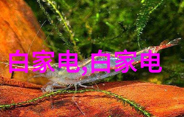 智慧水利大作战让河流也能变身成科技达人