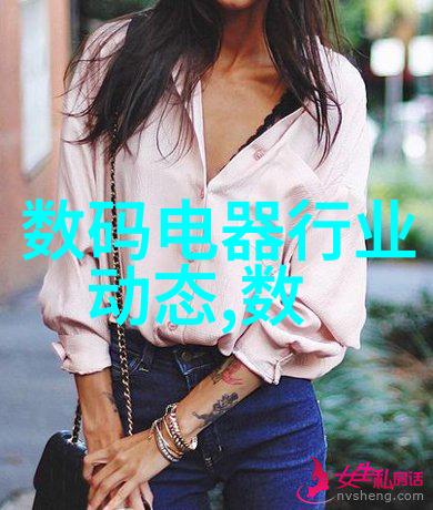 高级卫生隔膜泵技术高效安全的液体输送解决方案