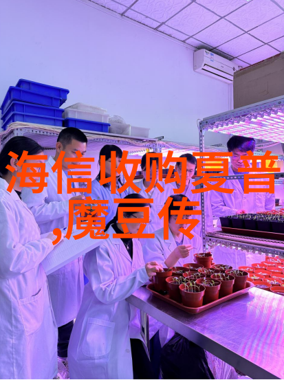 家居美学的完美融合创意装修设计与精致装饰艺术