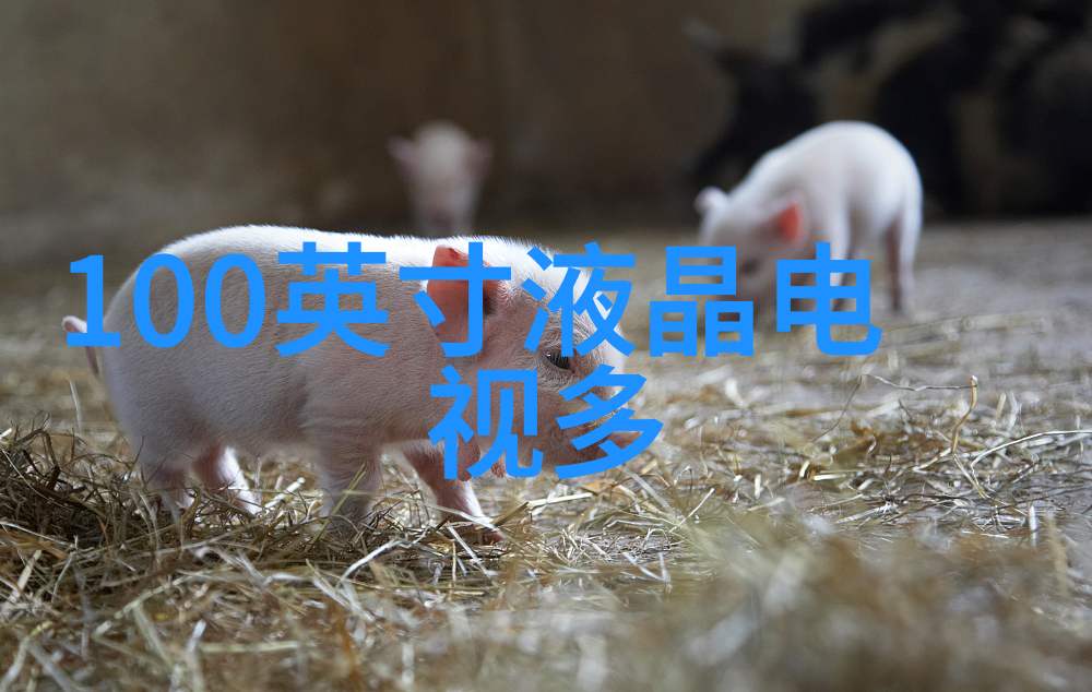 重庆工贸职业技术学院铸就未来工业与商贸人才的摇篮