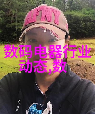 项目实施进度汇报