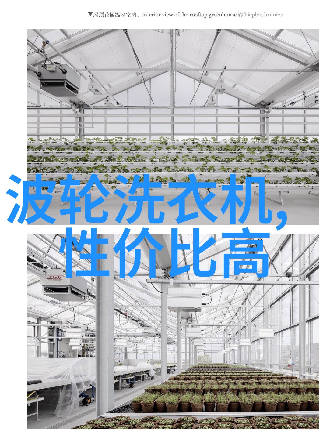 短视频拍摄技巧大公开