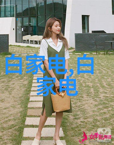 生活小技巧我是如何用油加热器省下不少钱的