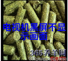 丝绸之路的现代韵成都装修设计的艺术探索