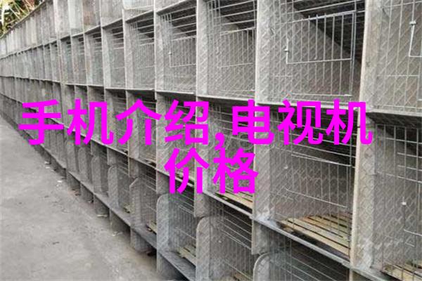 森林的秘密老师的手指引路