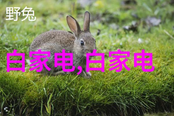 数码电器新闻资讯为何数码电器产品维修成本如此之高