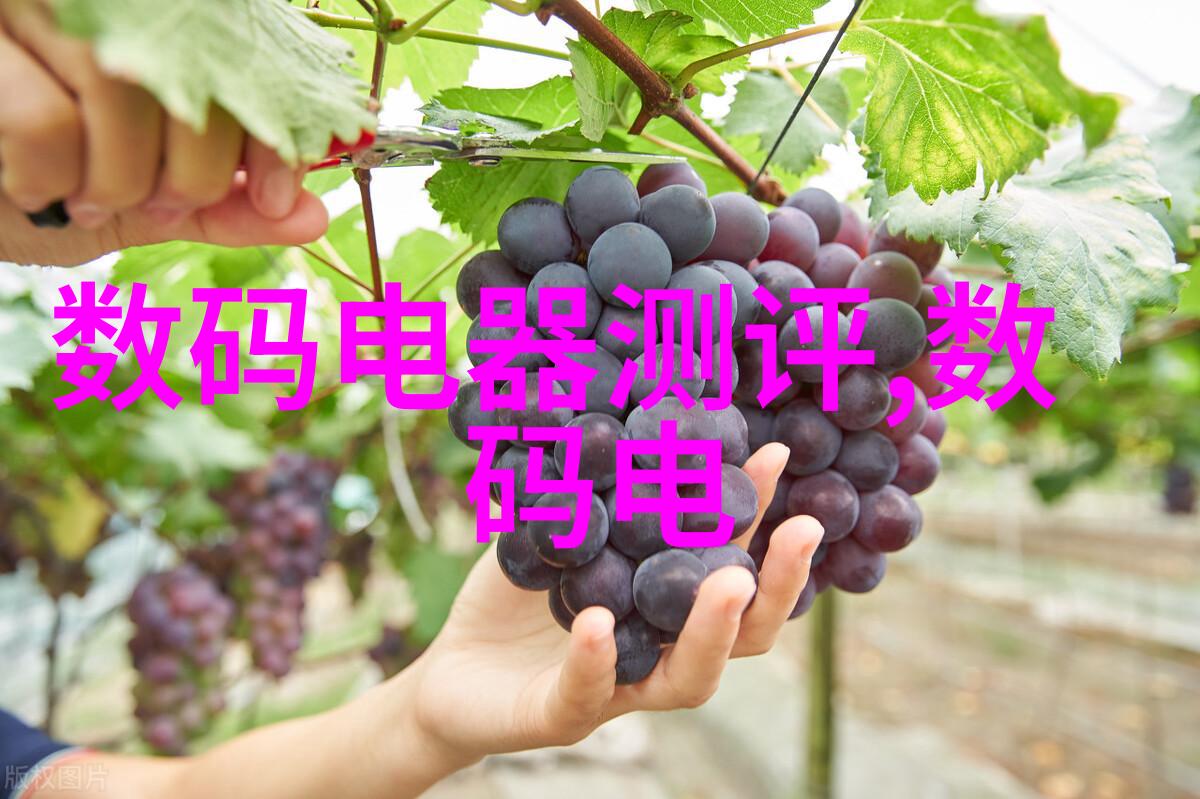 火焰与钢韵消防涂塑的艺术