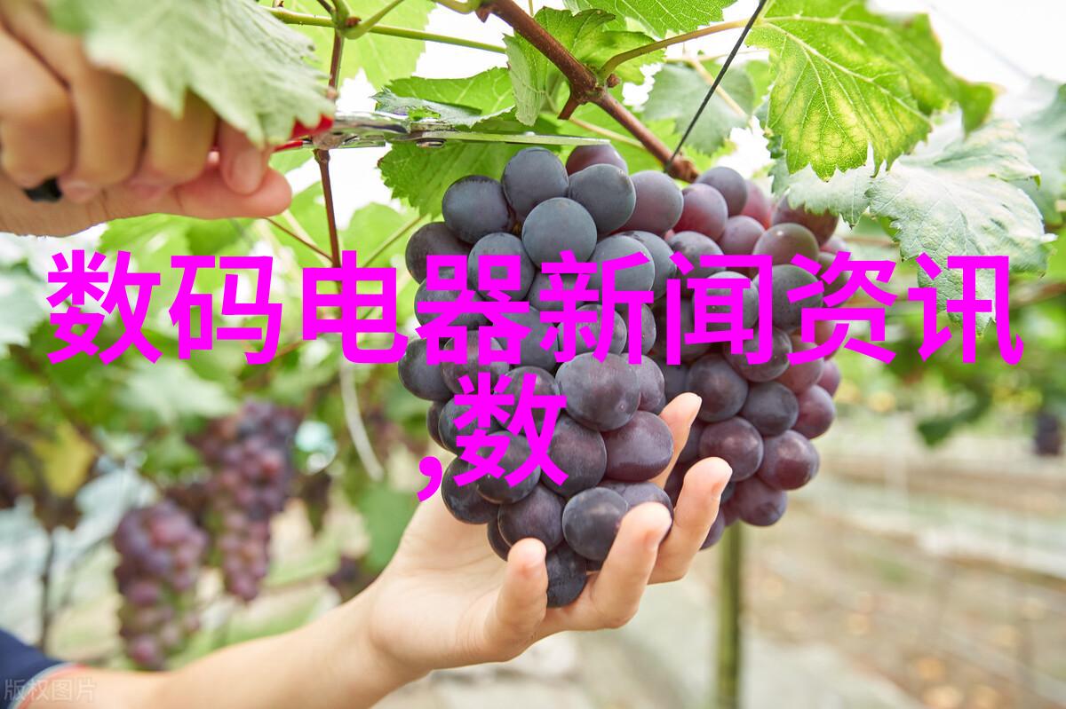 报告撰写的艺术如何将模板变为精彩的故事讲述