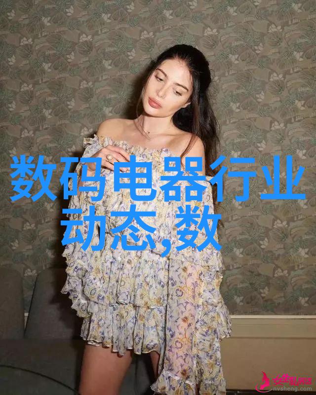 水平仪测量技术进化历程中遇到了哪些挑战和困难
