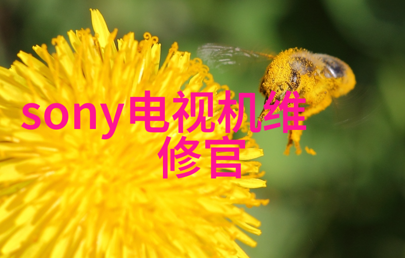 变频已成主流三大窍门让空调更长寿
