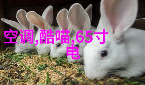 客厅简化品味复古图片大全探索