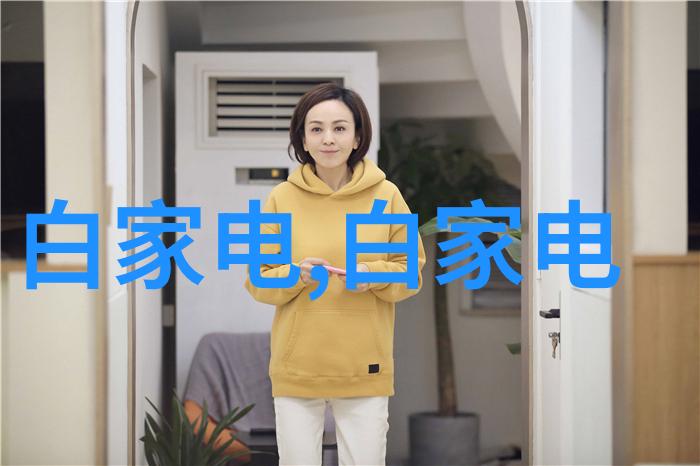 数码电器新闻资讯探讨现代科技对家用电器发展的影响及其对市场趋势的展望