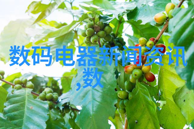 夏日的我阳光下的回忆与梦想