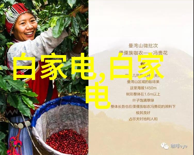 厕所装修防水技术研究与实践指南