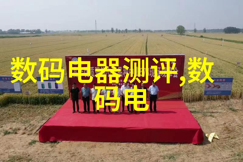 公司结构-LLC的优越性有限责任公司在企业发展中的重要角色