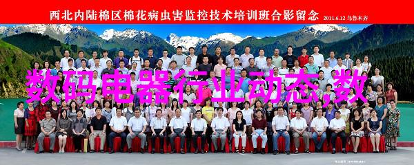 如何选择合适的书面报告写作风格