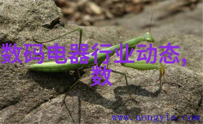 重庆实验室设备管理存在哪些挑战