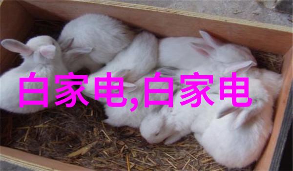 防疫消杀服务报价标准一平米多少钱全解析