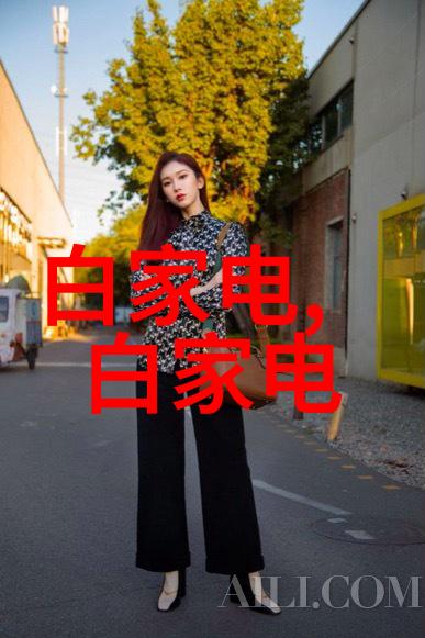 金属微粉末重量级的金属填料选择