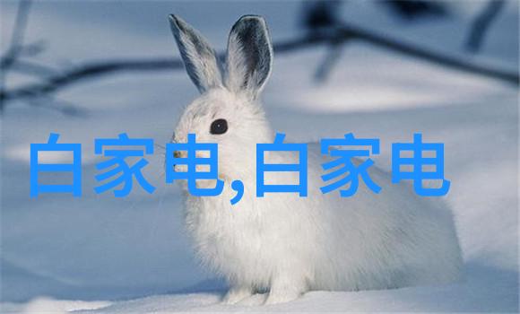电动车配件批发网我是电池大王如何搞定一站式充电解决方案