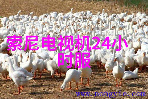上海仅鑫制药设备工程有限公司我在这里要和你聊聊他们的故事