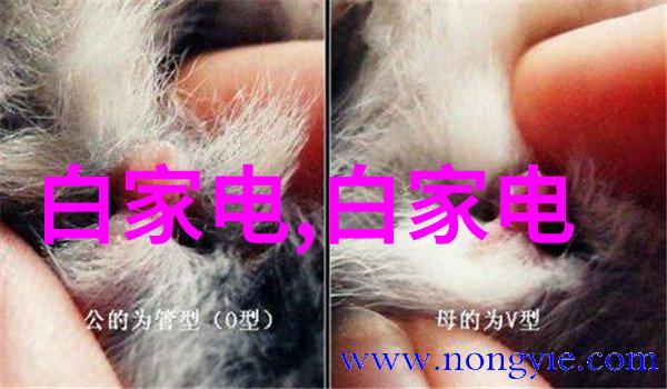 中国智能交通网构建安全高效的未来出行系统