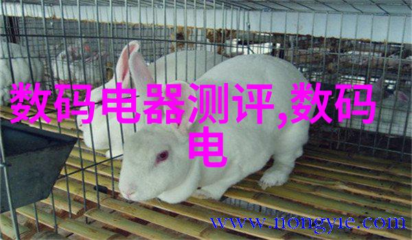 反应釜生产设备制造-精密工艺高效的反应釜生产设备制造