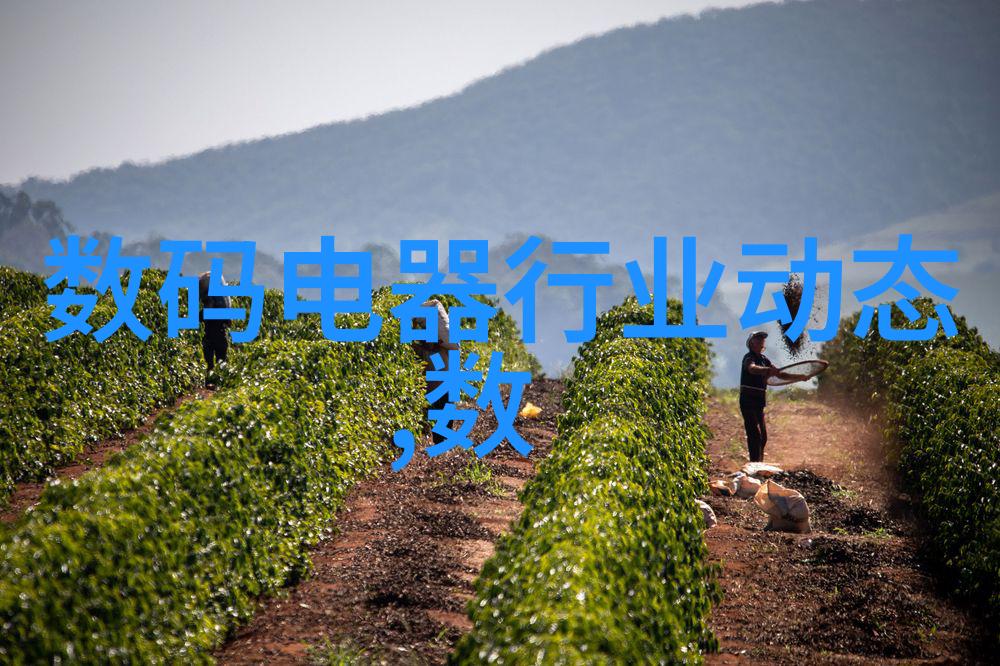 使用家用水质检测仪是否能够完全替代专业的水质分析服务