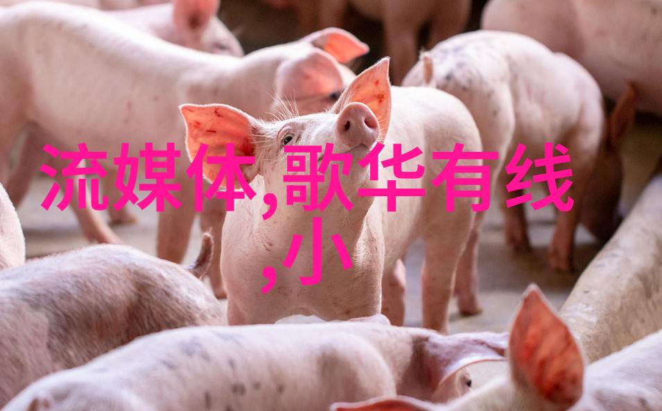 兰州财经大学金城学府的财富智囊团