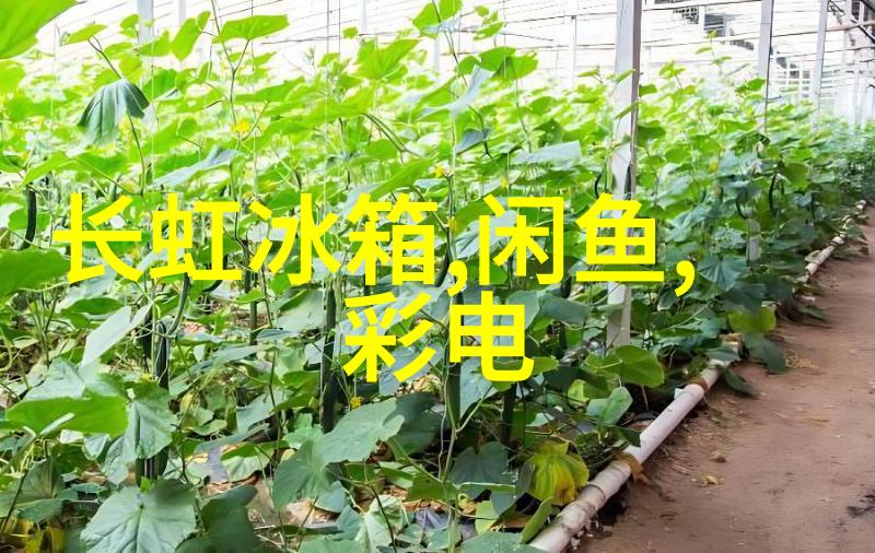 电流与水波的纠缠维修费用明细表的隐秘篇章