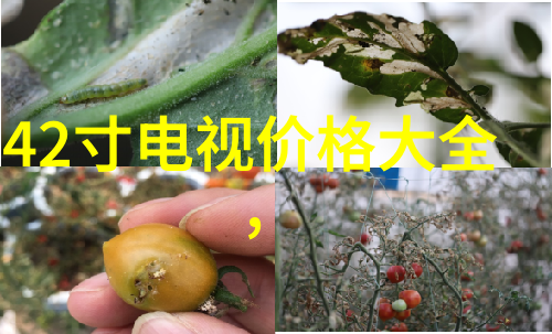 开题报告撰写技巧开题报告的精彩书写