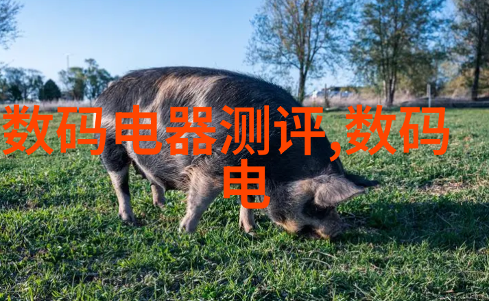 普通硅酸盐水泥的微观结构与宏观性能研究基于实验室分析与理论模型的综合探究